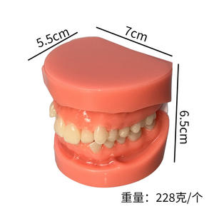 Modèles de démonstration de malocclusion dentaire en PVC pour la pratique orthodontique, moules d'enseignement avec attaches de brackets - Product Image 5