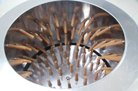 Épileuse automatique pour cailles et petits poulets, haute qualité, à moteur, avec roulement, facile à utiliser, vente directe usine 2