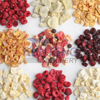 Mini-Liofilisatiemachine Voor Fruit En Groenten Met Vacuümpomp Vriesvacuümdroger Gedroogde Set Vriesdroogvoedselmachines