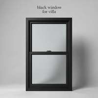 Custom Design Soundproof Waterproof Black Single Hung Window High Airtightness for Villa Projects