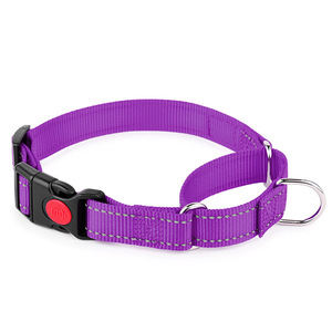 Fabrika toptan çok renkli Martingale köpek tasması ayarlanabilir naylon tampon evcil hayvan eğitim tasması