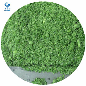 Sinocharm BRC-A giá bán buôn thảo mộc băm nhỏ <span class=keywords><strong>iqf</strong></span> rau mùi tây xắt nhỏ đông lạnh - Product Image 2