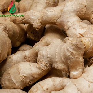 Extracto de Raíz de Jengibre Seco Puro Natural en Polvo, Mezcla de Especias y Condimentos, Grado Alimenticio, Certificado ISO HACCP, 100 mesh - Product Image 3
