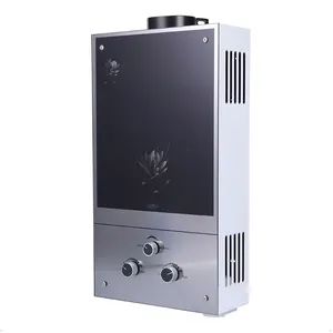 6L to 7L 8L 10L 12L 13L 14L 15L 16L 18L 20L 24L Natural Gas water heater Instant Lpg Geyser Ng Gas Water Heaters For Home