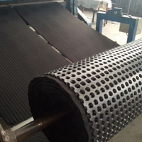 Planche rainurée en HDPE imperméable et drainante, personnalisable, adaptée aux chantiers de construction, aux sous-sols et aux toitures de garages