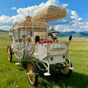 Calèche royale personnalisable pour transport, calèche de mariage royale classique, véhicule électrique à chevaux pour 2 à 6 personnes - Product Image 4