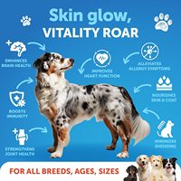 Supplément d'huile de poisson de saumon naturel OEM/ODM pour animaux de compagnie soins de santé oméga-3 haute densité pour chiens et chats peau pelage articulations-en bouteilles