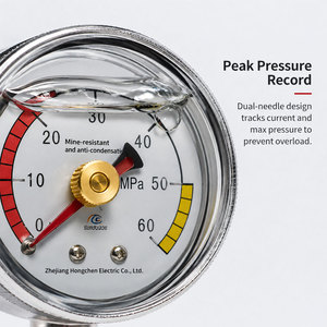 Indicateur de pression de qualité industrielle IP65 à haute sensibilité, jauge de surveillance des pipelines de gaz naturel, équipement de mesure, étanche aux fuites - Product Image 6