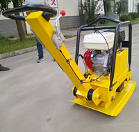 Compacteur de plaque réversible vibrant pour route de sol 160kg à vendre