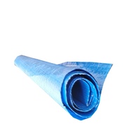 Bâche en plastique PVC de taille personnalisée pour couverture de toit