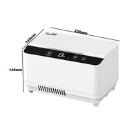 Mini-réfrigérateur portable pour voiture, isotherme à température constante, petite boîte de rangement pour médicaments et support de stockage d'interféron