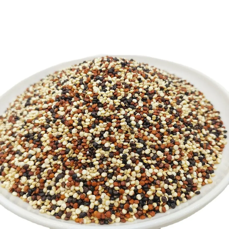 Semillas de quinoa de tricolor orgánico, semillas de quinoa de alta proteína en venta