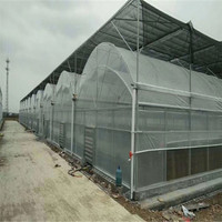 Serre en verre Venlo Zhuotai 1000 M2 en provenance de Chine à vendre