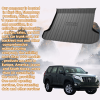 Convient à TOYOTA PRADO 2010-2017 Coussinet arrière avec protection tout temps Coussinet arrière
