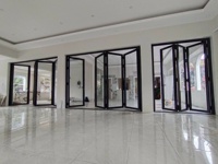Cadre de porte en aluminium pour portes pliantes, système de portes vitrées, aluminium noir, résistant aux ouragans, porte pliante pour villa, intérieur, étanche