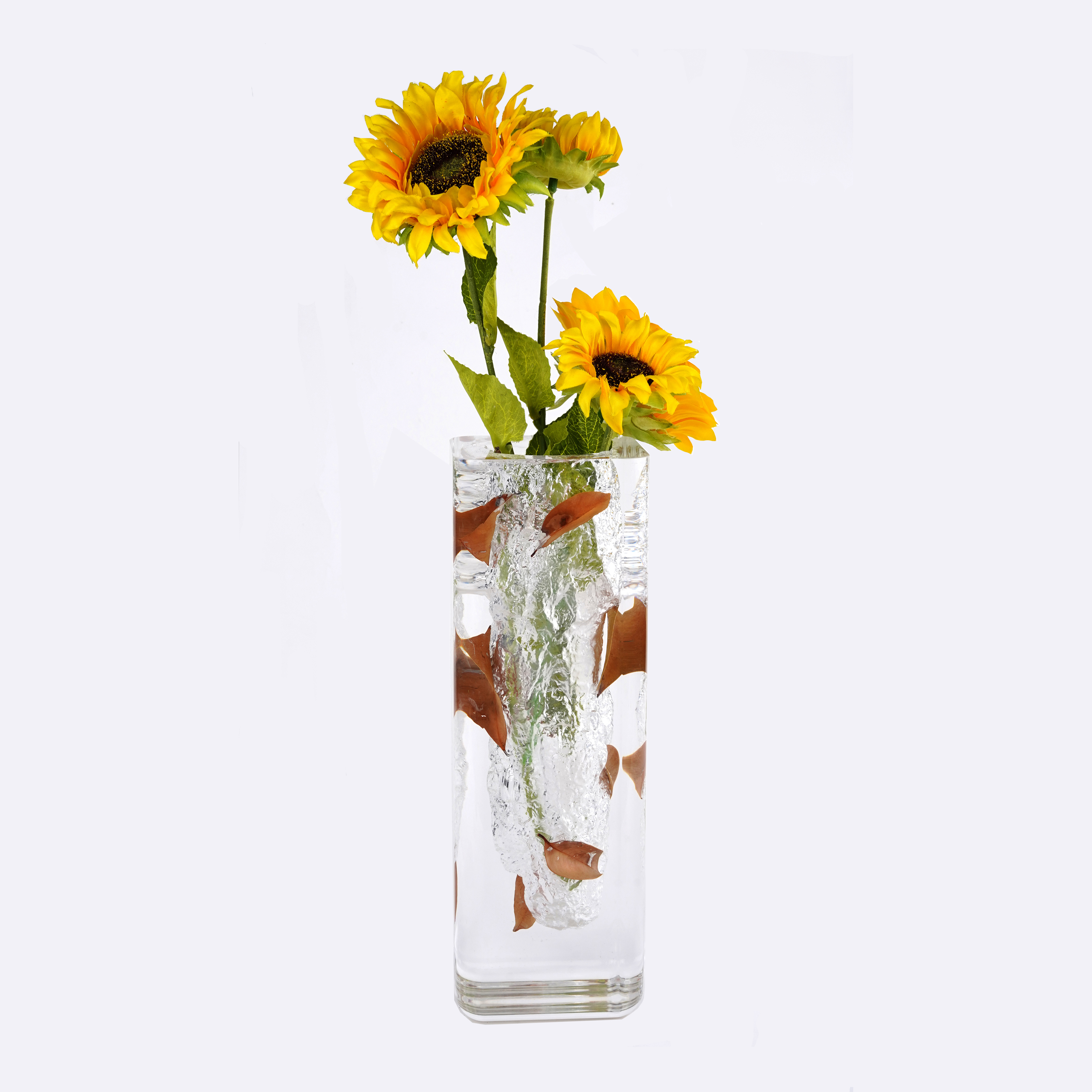 Transparente