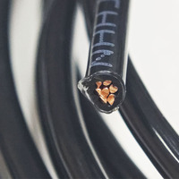 10 12 14 Awg Cable Conductor de cobre eléctrico Cable revestido de nailon aislado de Pvc Thwn Thhn Wire