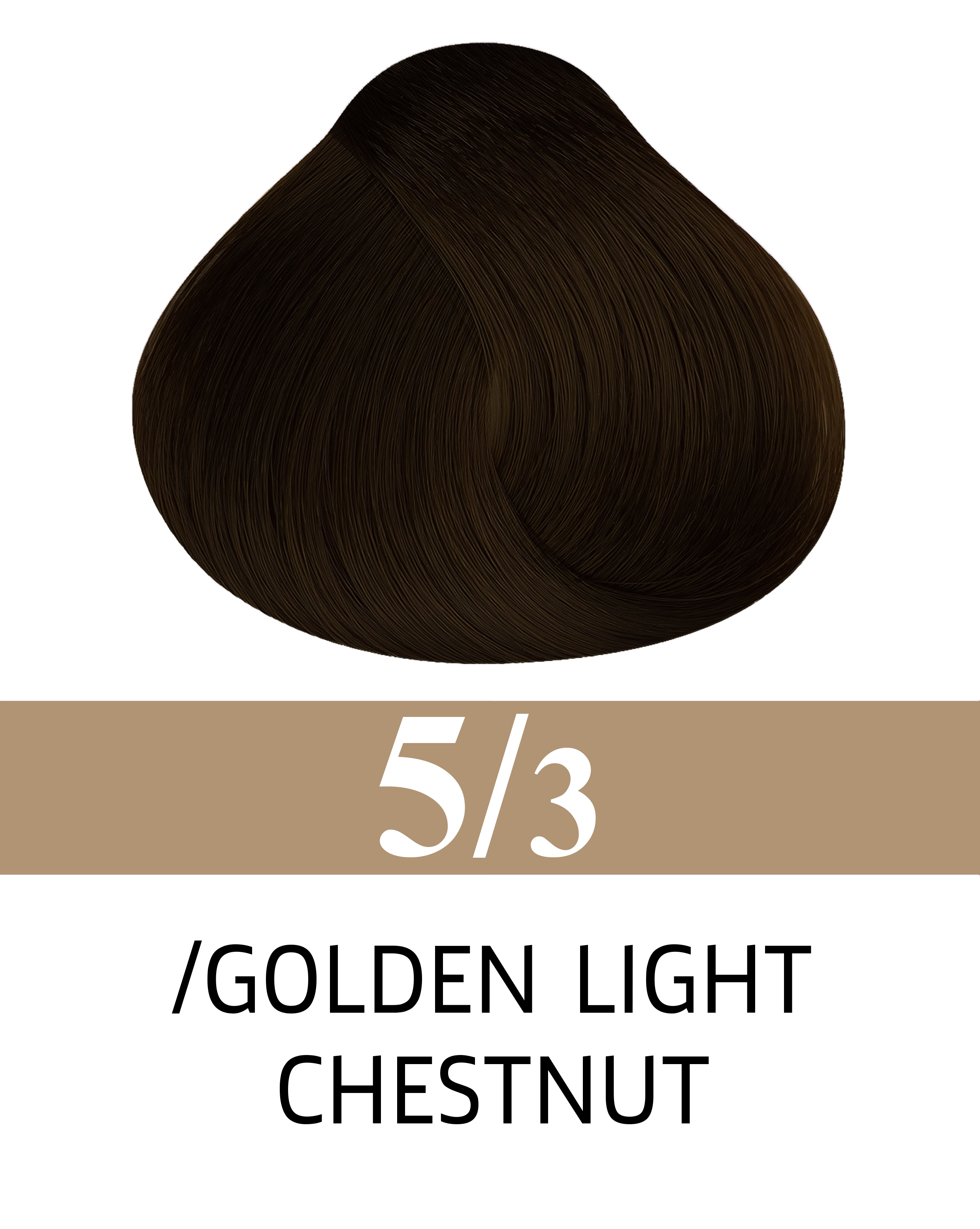 5/3 Châtaigne Dorée Lumineuse