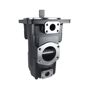 משאבת כנפיים כפולה דניסון T6EE תואמת OEM |   התאמה ישירה למערכות הידראוליות של טורבינות רוח ימיות - Product Image 2