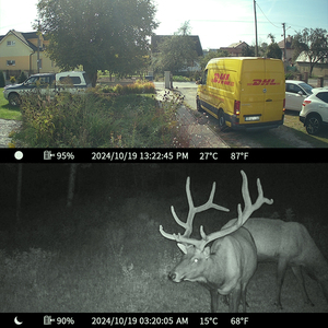 Wimiding Chất lượng cao không thấm nước HD trinh sát động vật hoang dã Trail trò chơi máy ảnh săn bắn Hoang Dã Video <span class=keywords><strong>Camera</strong></span> - Product Image 2