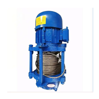 Nouveau treuil électrique léger 220V, palan à câble portable avec télécommande, petit équipement de levage domestique, construction en acier