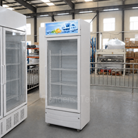 Congélateur rapide à air LED personnalisable à double température pour bière, armoire de réfrigération avec verre trempé incurvé
