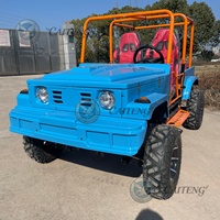 Quad sport à essence Caiteng, UTV automatique, ATV à 4 roues, buggy électrique/à essence, mini jeep kart 350cc 300cc, voiture 4x4 automatique