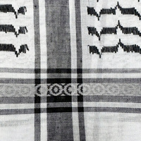 Foulard Keffieh Kufiya Palestine unisexe Shemagh traditionnel Palestine libre avec glands Arafat Hatta foulard style arabe