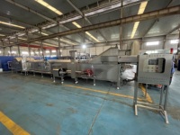 Machine de pasteurisation automatique ZLPH pour nouilles de riz et boissons énergisantes, certifiée SUS304 CE ASME, haute efficacité