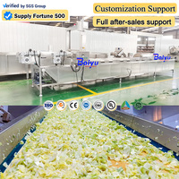 Baiyu hoogcapaciteits automatische multifunctionele blancheerapparatuur voor de verwerking van groenten, fruit en vis in de industrie.