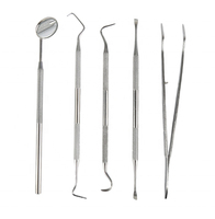 SAFEBOND 2025 Kit d'outils dentaires en silicone multi-usages pour l'hygiène buccale, 5 ensembles de sondes et crochets dentaires pour le soin et le nettoyage des dents, avec sac en cuir