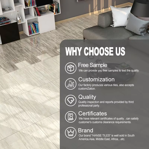 Azulejo de Porcelana Cerámica Blanca de Diseño Moderno 60x120, Porcelana Esmaltada de 10mm de Grosor, Totalmente Pulida, para Pisos de Sala de Estar, Villas y Escuelas - Product Image 5