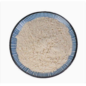 Polvo de Champiñones Shiitake Deshidratados al por Mayor, Ingrediente en Polvo para Sazonar, Polvo de Ingrediente para Sopa de Champiñones Shiitake - Product Image 1