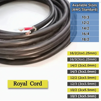 Fil de cuivre royal standard philippin 10/3 12/2 14/2 16/4 18/2 AWG, flexible, multiconducteur, haute pureté, double isolation, pour chauffage