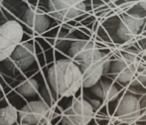 Sandwich nhiều lớp than hoạt tính lọc vải không dệt khử mùi lọc phương tiện truyền thông hóa chất lọc phương tiện truyền thông Mặt Nạ Lọc phương tiện truyền thông - Product Image 2