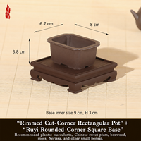 Molde para Macetas de Suculentas, Mini Macetas de Resina para Suculentas y Bonsáis, Diseño Simple, Múltiples Orificios de Drenaje para Interiores - Venta Directa de Fábrica