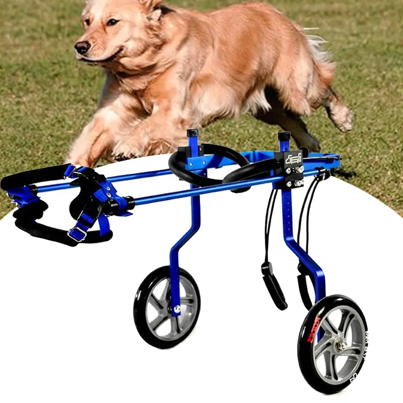 Grand fauteuil roulant pour chien Chaises roulantes canines utilisées pour les chiens souffrant d'arthrite Fauteuil roulant pour les pattes arrière