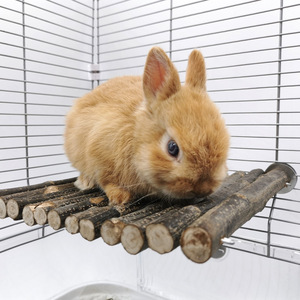 Commercio all'ingrosso eco-friendly Totoro piattaforma di salto scoiattolo in legno a pedale coniglio molari giocattolo Pet in legno massiccio <span class=keywords><strong>trampolino</strong></span> 0.5kg - Product Image 3