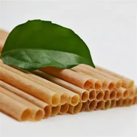 100% Paille à boire en fibre de canne à sucre biodégradable sans plastique paille jetable pour boire du jus
