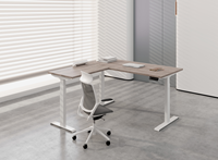 Vente à chaud Table d'ordinateur de bureau moderne Bureau assis-debout Bureau électrique réglable en hauteur