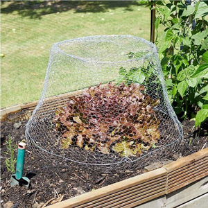 <span class=keywords><strong>Rete</strong></span> <span class=keywords><strong>Metallica</strong></span> Esagonale Zincata per Pollame, 0,6 mm 16inx40ft - Product Image 4