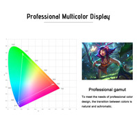 Tablette graphique BOSTO 16HD 15,6'' IPS avec écran d'affichage, résolution 1920*1080, 8192 niveaux de pression, stylet rechargeable