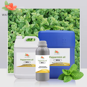 بالجملة عضوي <span class=keywords><strong>100</strong></span> ٪ نقي وطبيعي من الفلفل والنعناع صالونات تدليك لنمو الشعر - Product Image 5