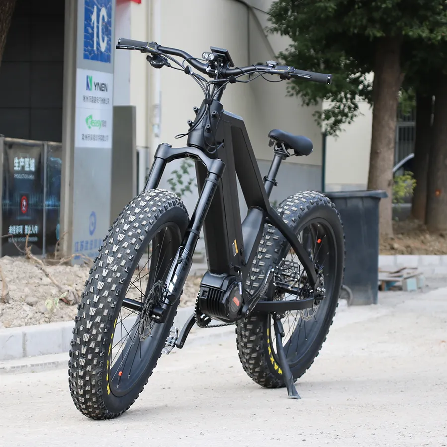 공장 도매 48v 1000w 전기 자전거 48v 30ah 배터리 성인용 전기 자전거