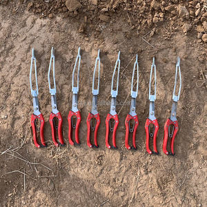 Repiquage domestique, Machine <span class=keywords><strong>de</strong></span> plantation pour <span class=keywords><strong>patates</strong></span> <span class=keywords><strong>douces</strong></span>, semis <span class=keywords><strong>de</strong></span> poivre, semis - Product Image 4