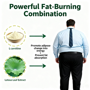 <span class=keywords><strong>Cápsulas</strong></span> <span class=keywords><strong>de</strong></span> Garcinia Cambogia, <span class=keywords><strong>Café</strong></span> <span class=keywords><strong>Verde</strong></span> y Cetonas <span class=keywords><strong>de</strong></span> Frambuesa para Hombres Adultos, Quemagrasas, Gestión del Metabolismo, Energía, Salud Digestiva - Product Image 2