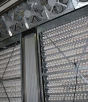 Incubateurs et éclosoirs automatiques YFXF-90 Yunfeng avec grande capacité 90720 pièces Machine à couver les œufs d'oie de canard de poulet
