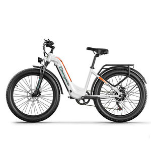 Patinete Eléctrico de Dos Ruedas con Motor Único de 36V 450W Hezzo HS-04PRO, Batería de 17.5Ah, Alcance de 25km, Suspensión Delantera de Aluminio, Resistente al Agua HS-04PRO - Product Image 1
