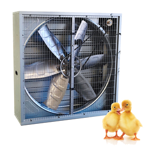 Attrezzature per allevamento di bestiame e pollame, pollame e attrezzature per allevamento di polli, sistema di alimentazione automatica - Product Image 5