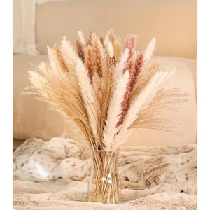 AYOYO OEM Hierba de Pampa Estilo bohemio Flores secas 85 PIEZAS Combinación de 5 colores Decoración de la boda del hogar - Product Image 1